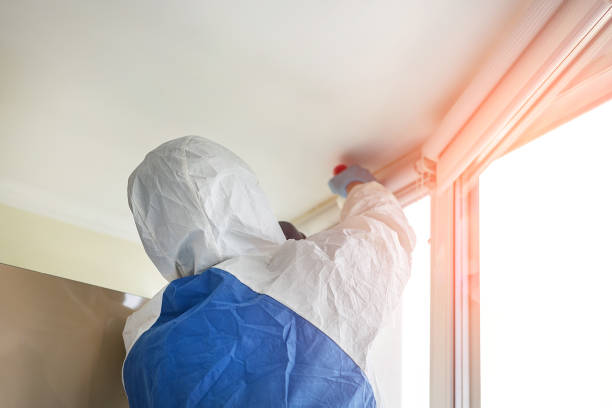 Best Black Mold Removal in Moa, UT