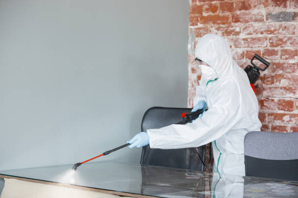  Moa, UT Mold Removal Pros