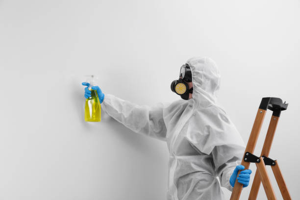 Best Biohazard Mold Removal in Moa, UT